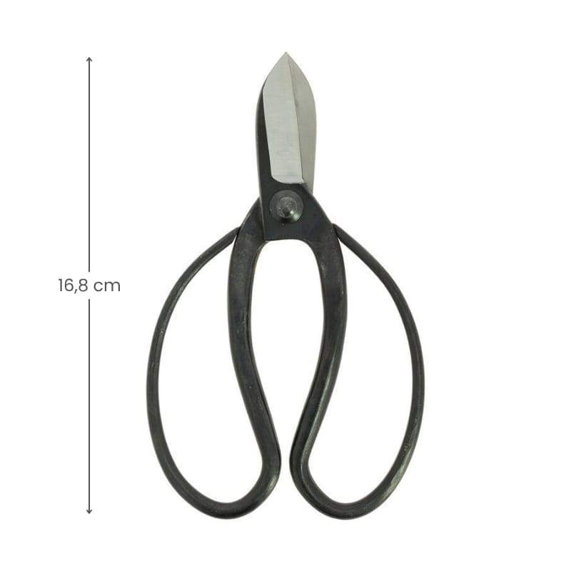 Japońskie nożyczki Koryu do ikebany