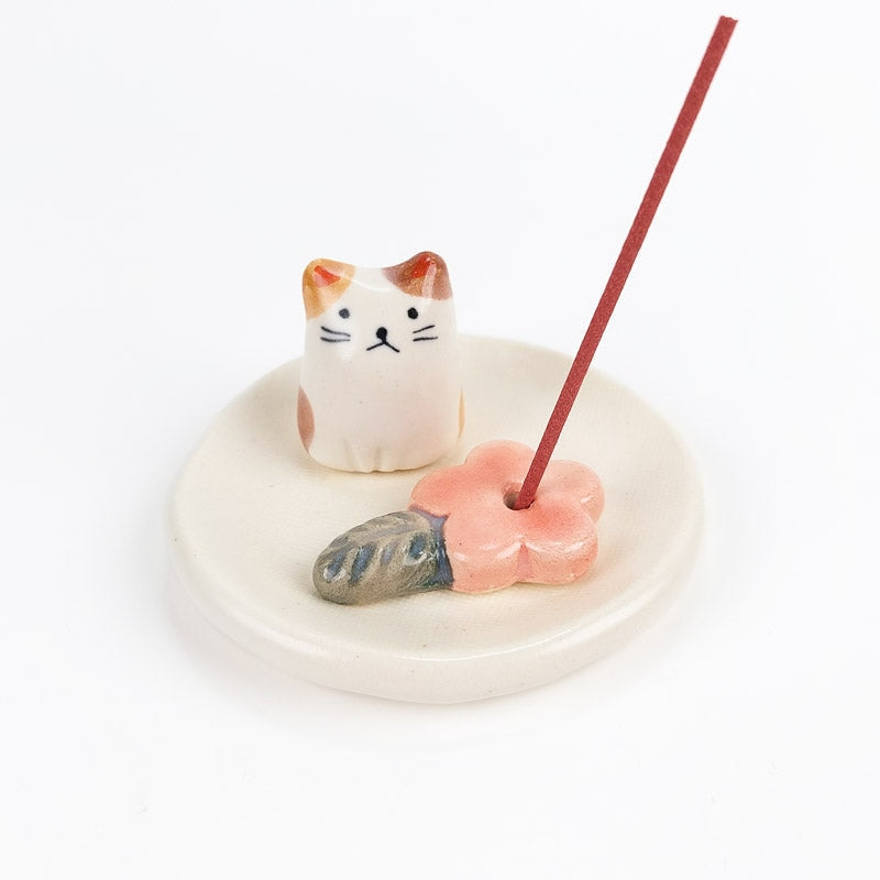 Kadzielniczka japońska Neko Sakura