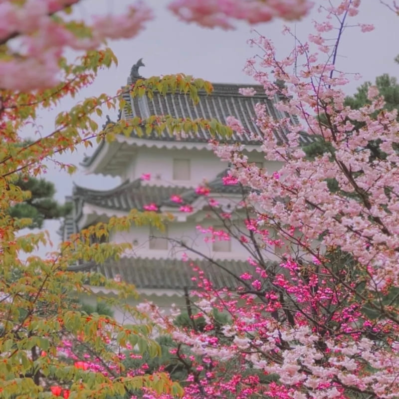 Japoński miniaturowy model - zamek Takamatsu