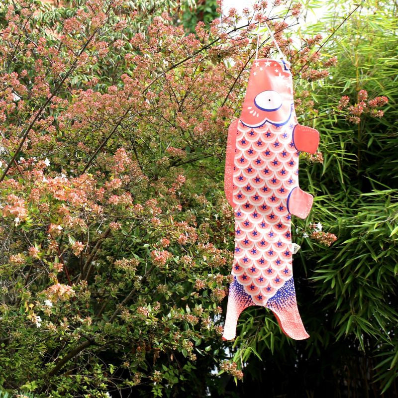 Tradycyjne różowe Koinobori 70 cm