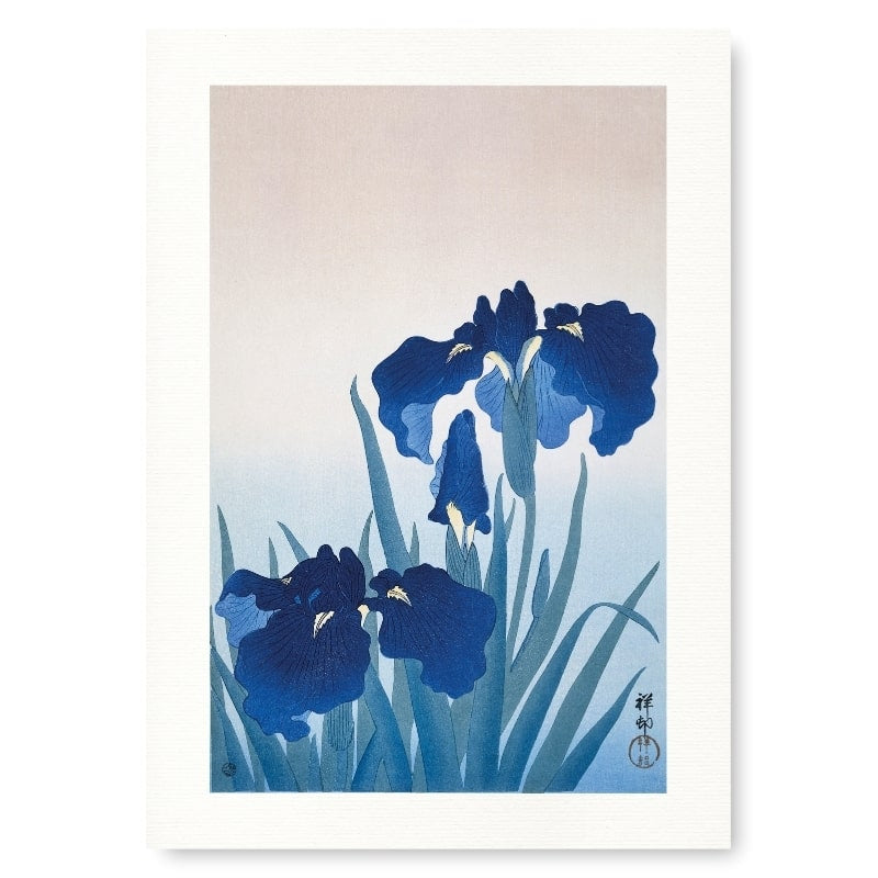 Blue Iris Japanese Print A3