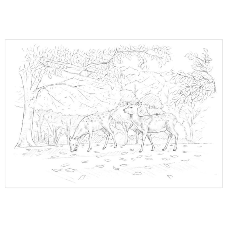 Kolorowanka dla dorosłych: Cztery pory roku Nara