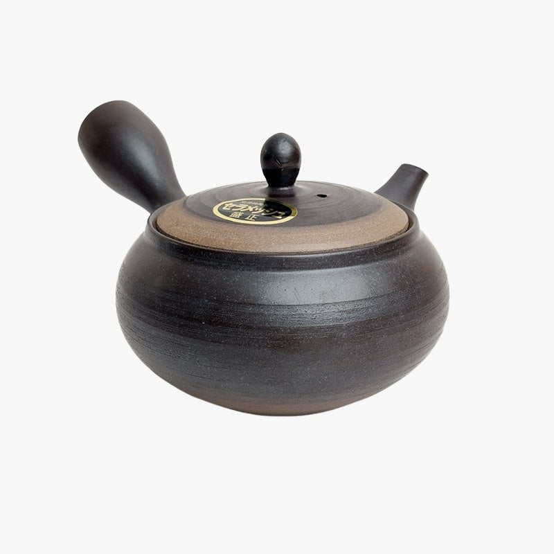 Japoński czajniczek Kyusu Tokoname