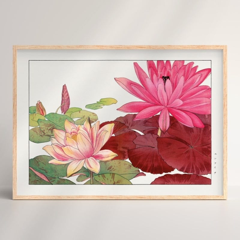 Japoński nadruk Nymphaea Lotus A3