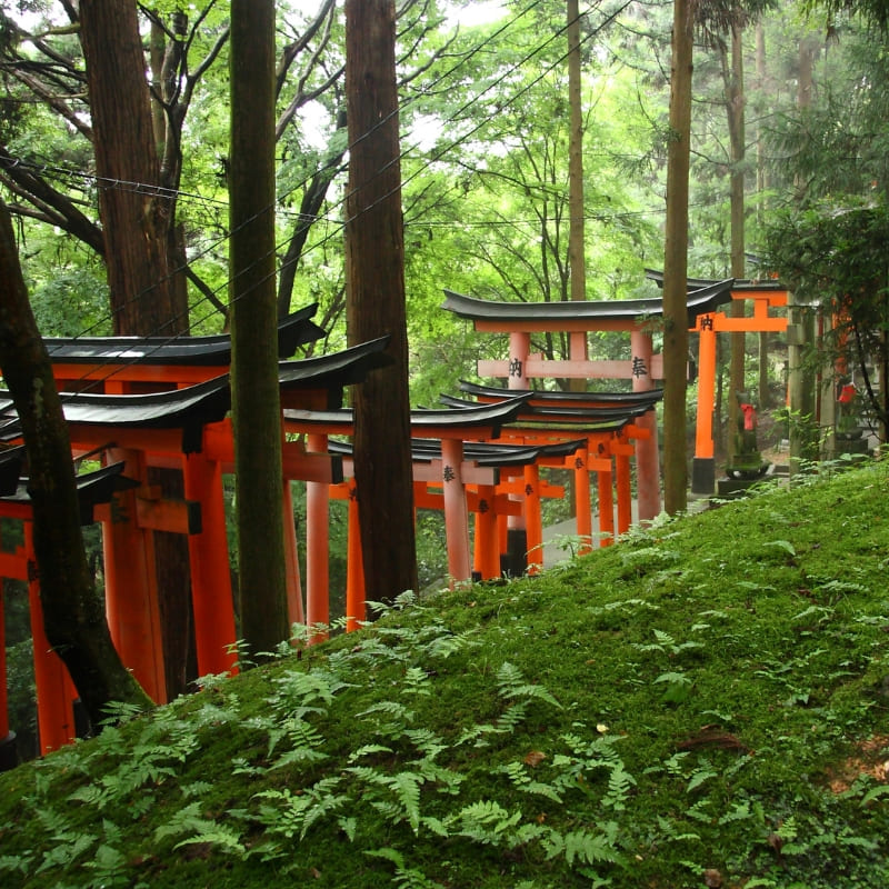 Japońska miniatura - świątynia Fushimi Inari