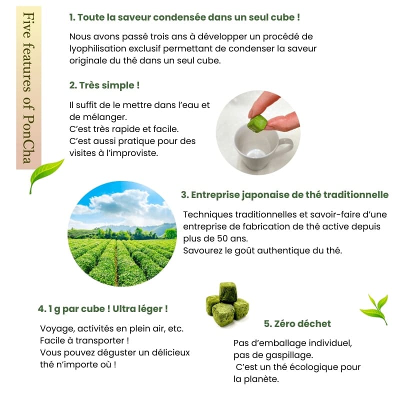 PonCha Green Tea Cube