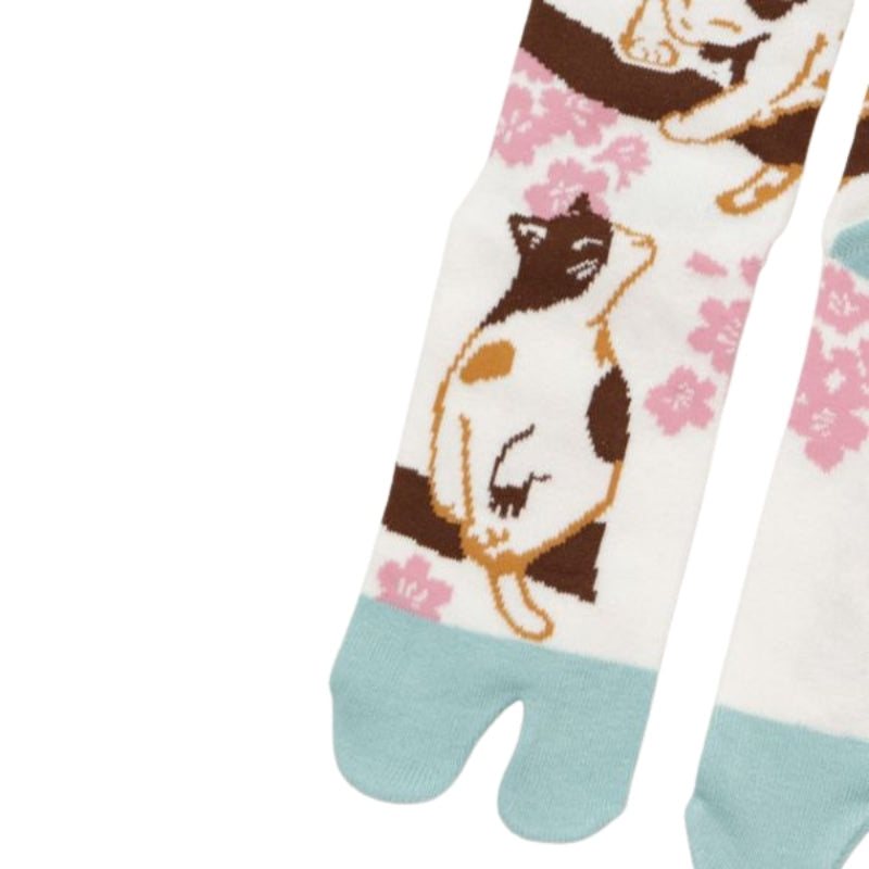 Skarpetki Tabi Sakura Cat EU 36 40