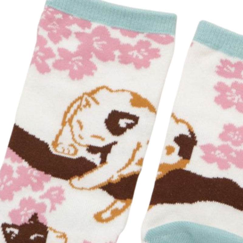 Skarpetki Tabi Sakura Cat EU 36 40