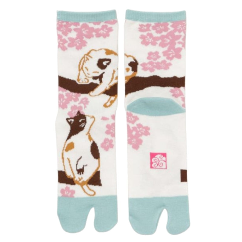 Skarpetki Tabi Sakura Cat EU 36 40
